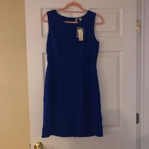 Cobalt blue dress